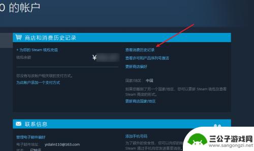 怎么查看steam的账单 如何查看steam游戏的消费记录