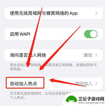 苹果手机怎么允许不安全网络 如何在苹果手机上设置可信任网络