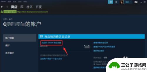 steam余额自定义充值 Steam怎么充值任意金额