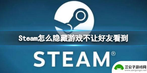 steam 游戏 私密 Steam 如何隐藏游戏不让好友查看