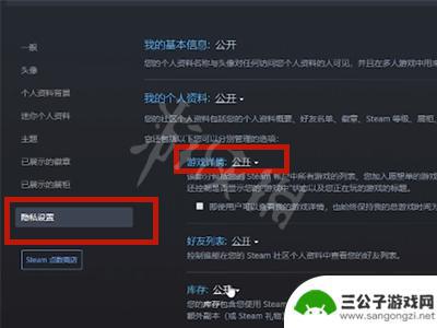 steam 游戏 私密 Steam 如何隐藏游戏不让好友查看