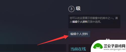 steam账号公开为啥 steam资料如何设为公开