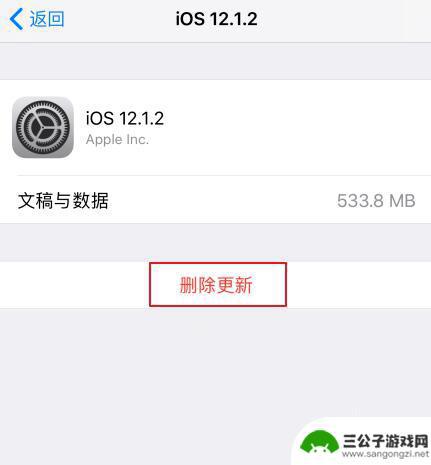 怎么去除苹果手机上的设置红点 怎样处理已经屏蔽的 iOS 更新中的设置小红点