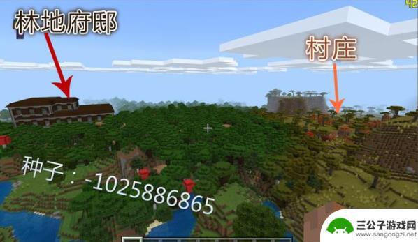 我的世界大型村庄地形码 我的世界最大村庄种子2021推荐