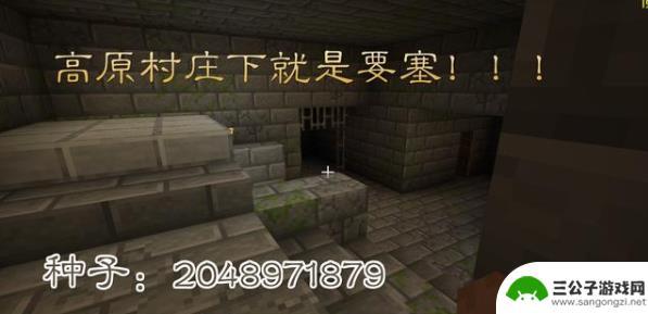 我的世界大型村庄地形码 我的世界最大村庄种子2021推荐