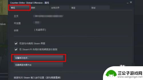 csgo怎么steam Steam怎么玩国服CSGO