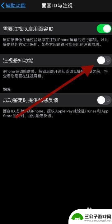 怎么关掉苹果手机注视 苹果11如何关闭注视感知功能