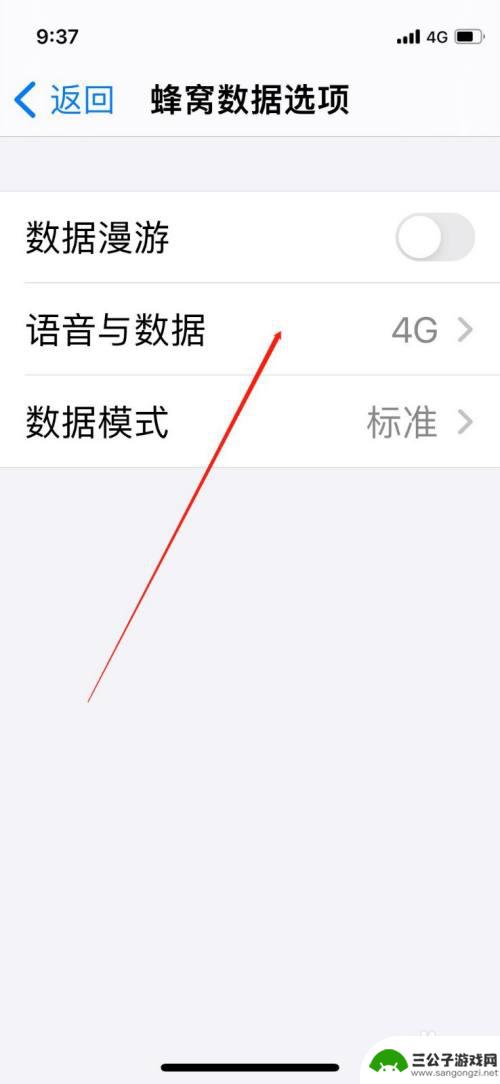 苹果手机上怎么打开5G iPhone手机5G信号开启设置步骤