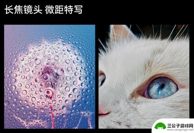 哪款折叠屏手机能让你拍出“显微级”照片？