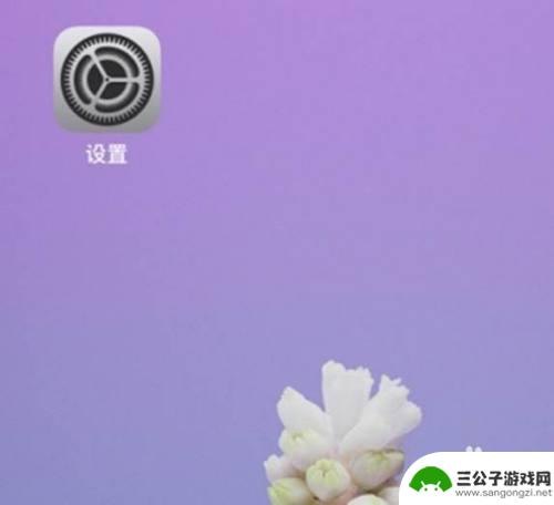 手机闹钟如何调小声音 iphone手机闹钟音量调节方法