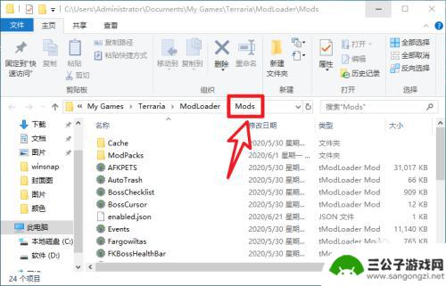 泰拉瑞亚如何导入模组 steam泰拉瑞亚mod冲突怎么解决