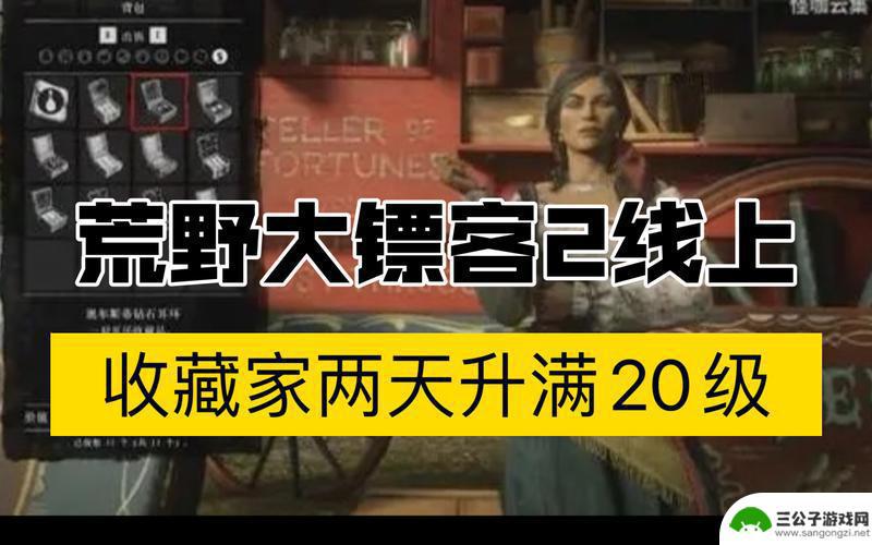 荒野大镖客2收藏家升级攻略 《荒野大镖客2》收藏家职业怎么玩