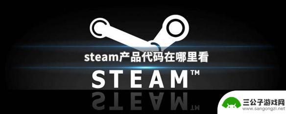 steam怎么查代激活 steam产品代码在哪里找