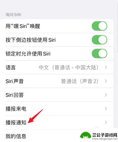 手机短信语音朗读怎么关 Siri如何关闭读短信功能