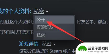 steam如何公开个人资料 steam资料全部公开的方法