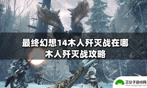 ff14木人任务 最终幻想14木人歼灭战攻略分享