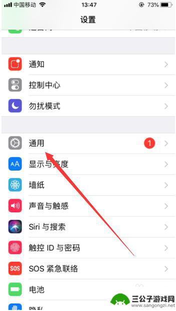 跑步苹果手机怎么放大 苹果手机放大器功能使用技巧