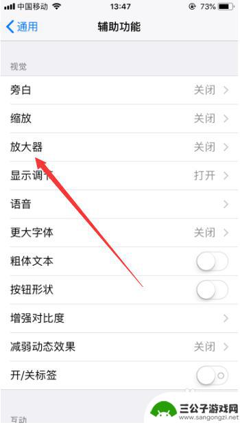 跑步苹果手机怎么放大 苹果手机放大器功能使用技巧