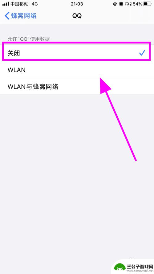 苹果手机如何限制软件联网 如何在苹果iPhone手机上禁止某个程序联网