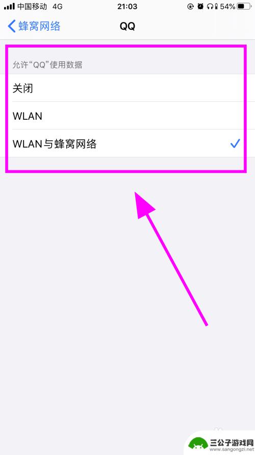 苹果手机如何限制软件联网 如何在苹果iPhone手机上禁止某个程序联网