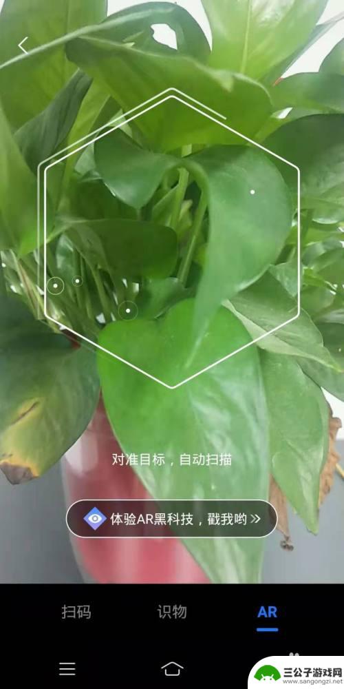 如何用手机认出花草 手机识别花草APP推荐