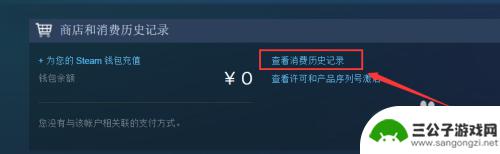 steam到账慢 steam充值钱包未到账解决方法