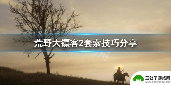 荒野大镖客2隐藏套索 《荒野大镖客2》套索技巧攻略