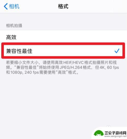 手机相机设置格式怎么弄 苹果手机照片转换为jpg的方法