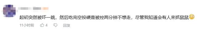 腾讯游戏中最擅长搞怪的一款，无可替代？