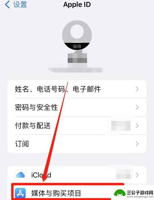 登陆id要输入其他账号密码 如何解决登录Apple ID需要输入其他iPhone密码的问题