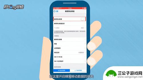 苹果手机如何观察流量数据 iPhone手机打开数据流量的步骤