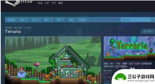 泰拉瑞亚怎么赠送给朋友 steam泰拉瑞亚88怎么送人