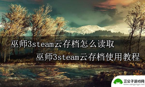 steam云存档下载怎么用 巫师3steam云存档读取教程