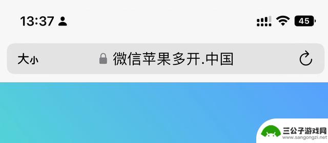 深入了解应用程序分身的独特之处：升级至iOS 17.2.1