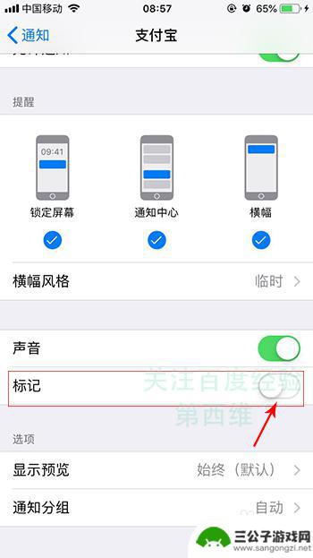 苹果手机屏幕出现满屏数字 如何取消iPhone苹果手机应用图标红色数字角标