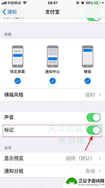 苹果手机屏幕出现满屏数字 如何取消iPhone苹果手机应用图标红色数字角标