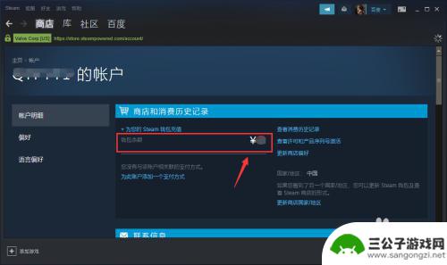 steam看金额 Steam账户余额怎么查看