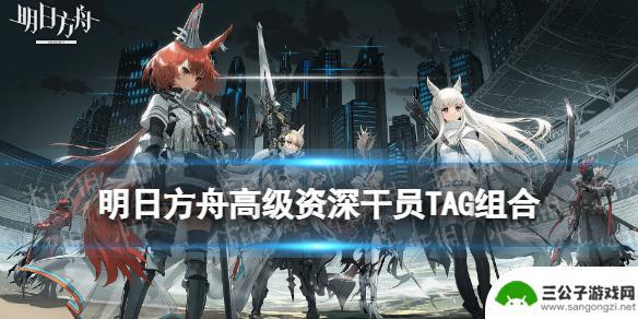 明日方舟高级tag 《明日方舟》高级资深干员TAG组合计算器下载