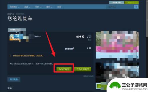 购买steam城市天际线 都市天际线游戏在Steam上的购买指南