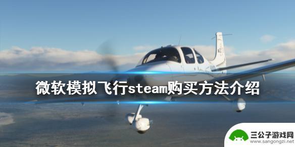 微软飞行模拟器在steam叫什么 steam如何购买微软模拟飞行2020