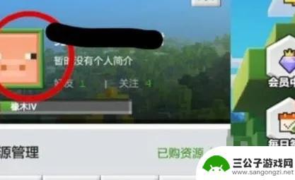 主宰世界如何改名字 我的世界2025怎么更换用户名
