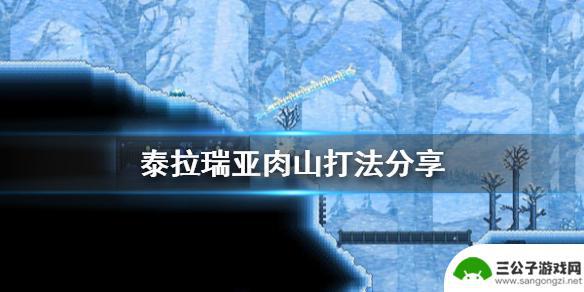 泰拉瑞亚如何秒杀肉山 泰拉瑞亚肉山打法分享