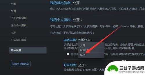 steam怎么设置不让好友看到自己在玩什么 怎么让好友在Steam上看不到我正在游戏