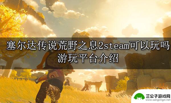 塞尔达steam能买吗 塞尔达传说荒野之息2steam平台游玩体验