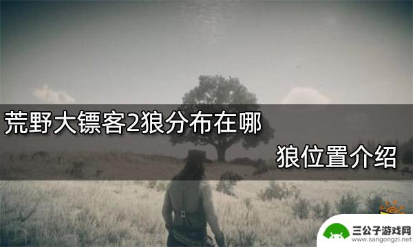 荒野大镖客2郊狼在哪刷 狼在荒野大镖客2中的位置