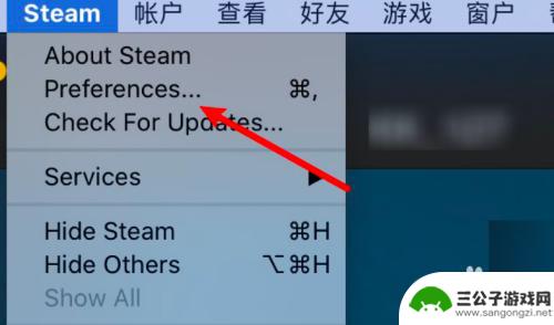 steam大图标 Steam游戏库界面显示大图标设置方法