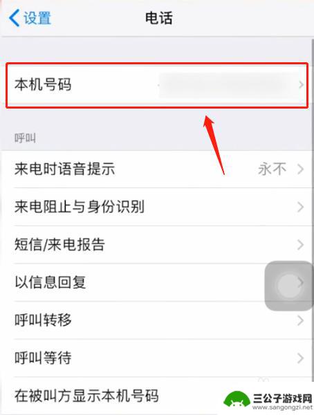 手机如何设置号码 苹果手机如何设置本机号码
