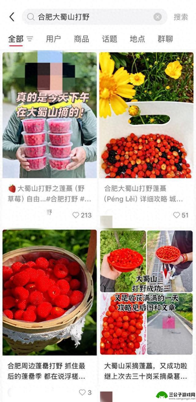 市民频繁涌入大蜀山进行“打野”活动，公园提醒存在违规和安全隐患