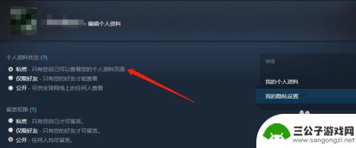 steam怎么让成就不显示 Steam如何隐藏游戏成就