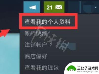 steam如何不让好友看到你买的黄油 Steam游戏隐私设置方法